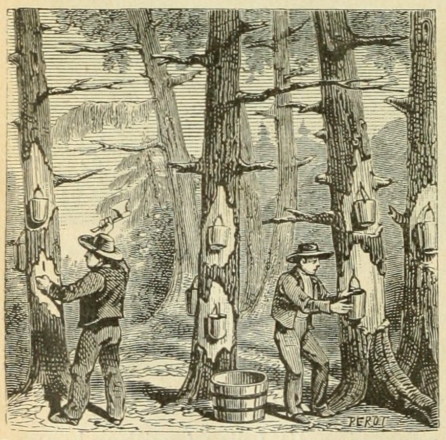 G.Bruno Le Tour de la France par deux enfants