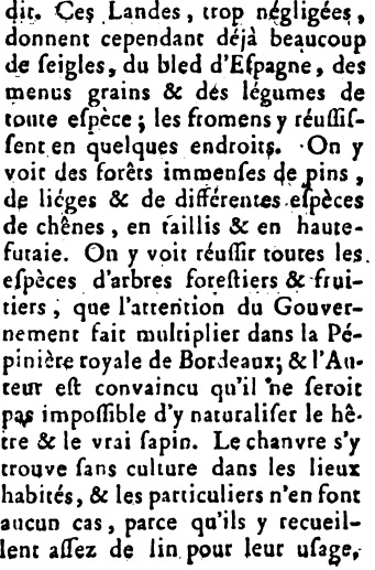 chêne liège