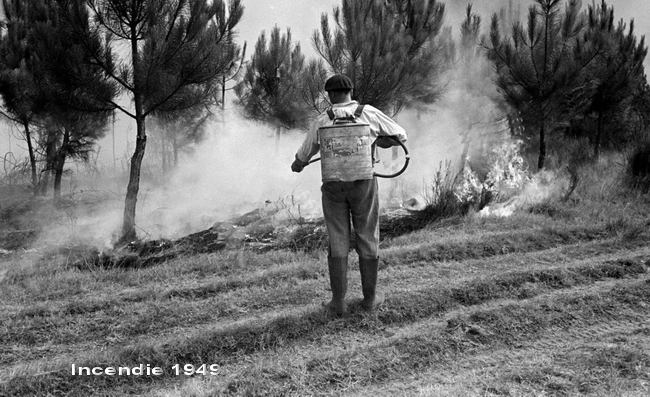 incendies landes 1949