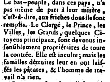 culture du maïs