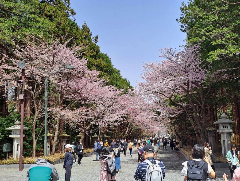Spring travel in Sapporo (from Daniel)
