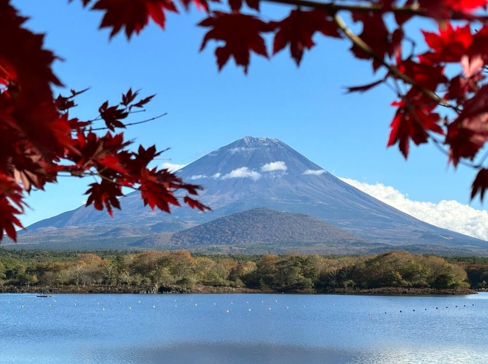 北は北海道、南は石垣島まで