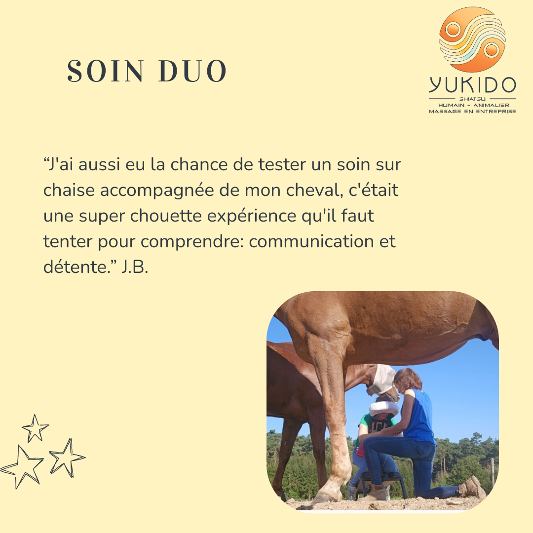Yukido - Shiatsu - Avis - Charleroi - Fleurus - Chastre