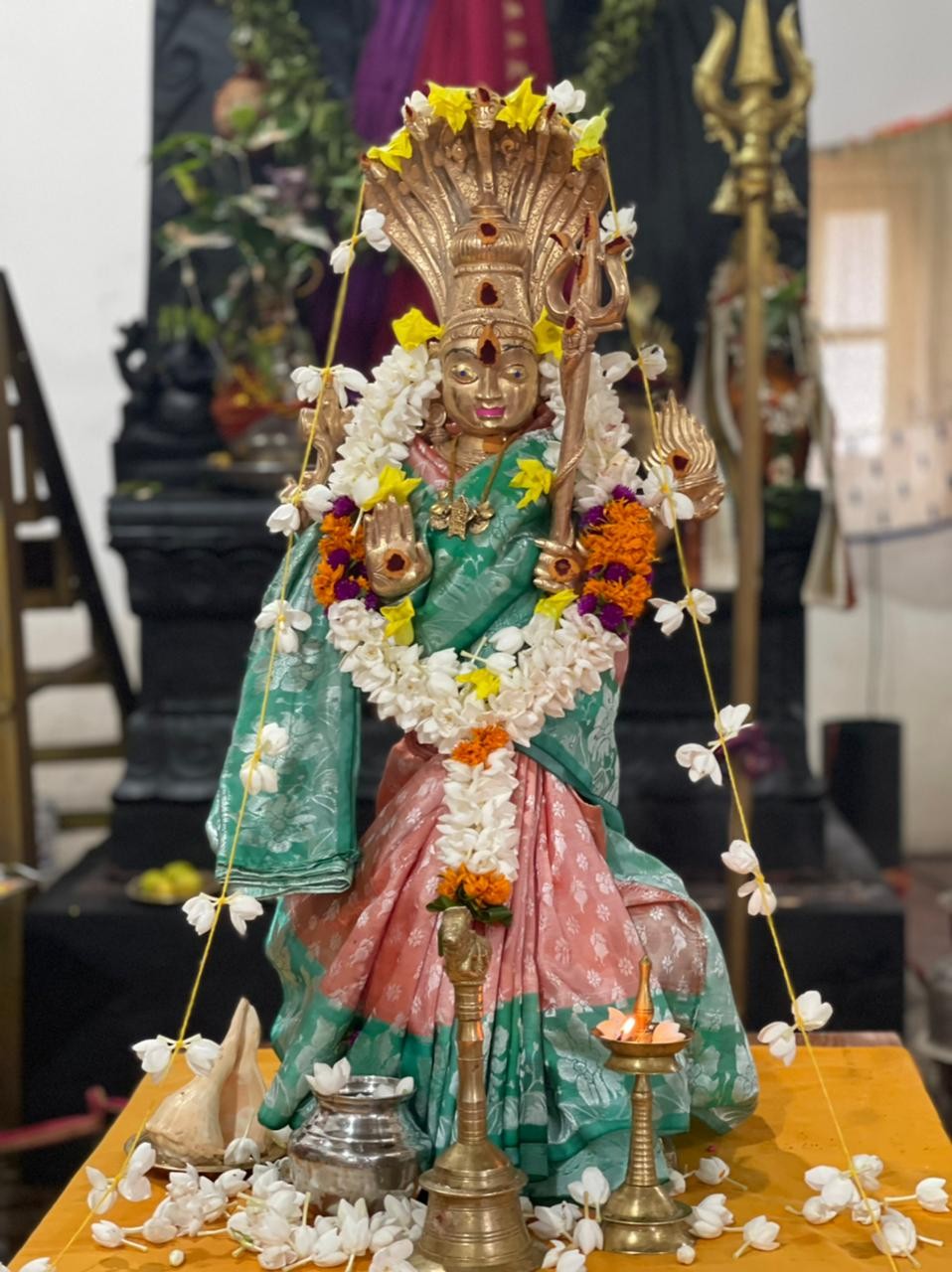 Заказать индивидуальную онлайн пуджу - Пуджа Инфо - нектар для души!