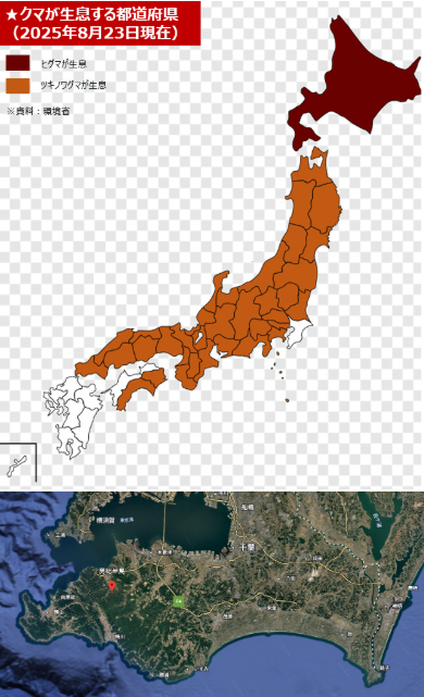 千葉県には熊が存在しない