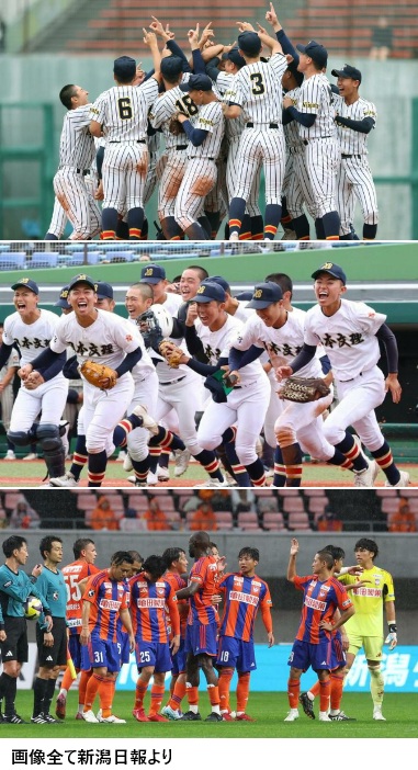 県内スポーツあれこれ