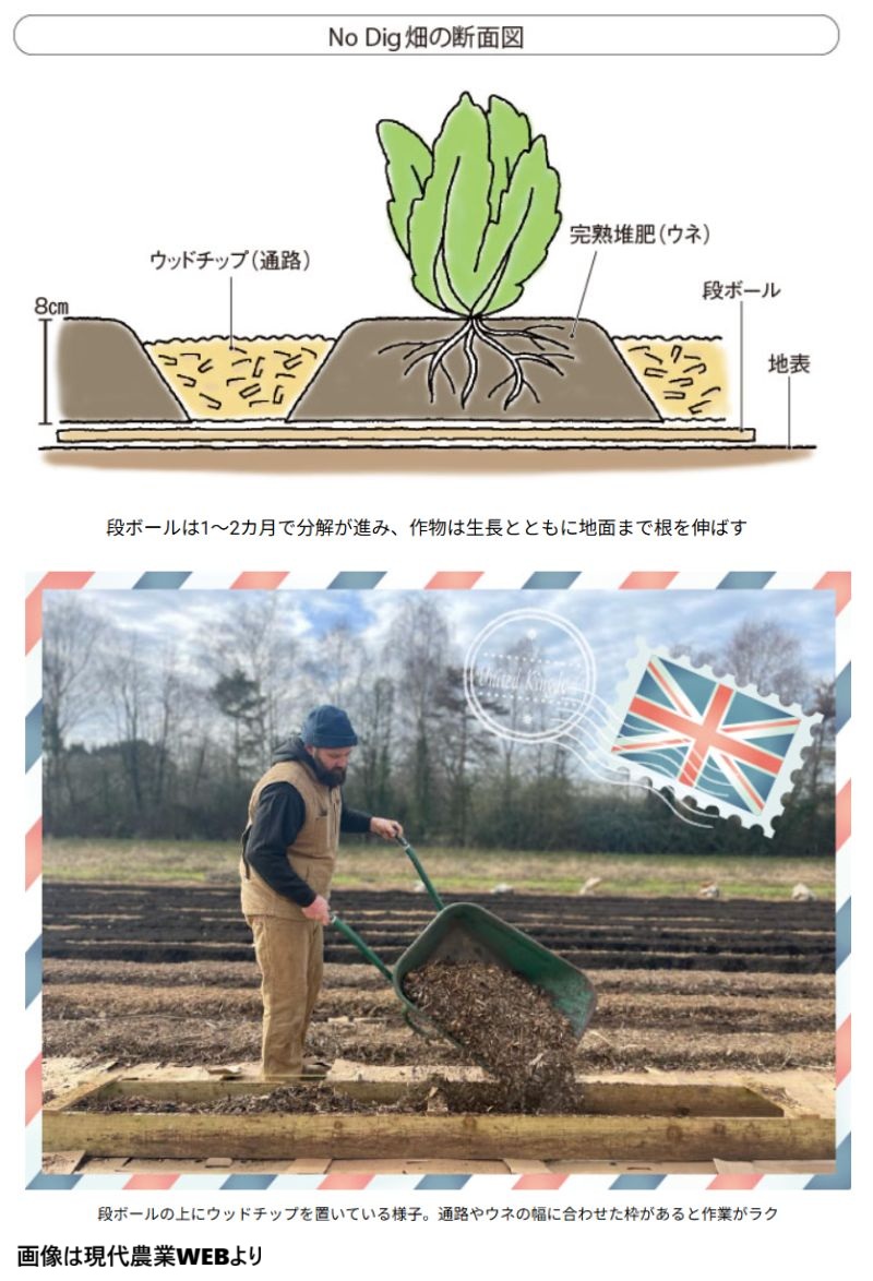 これから流行りそうな耕さないノーディグ菜園
