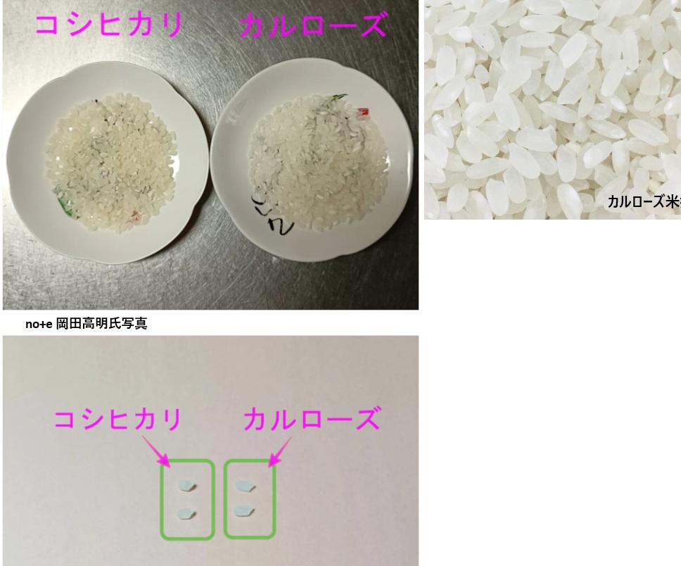 カルローズ米って何？