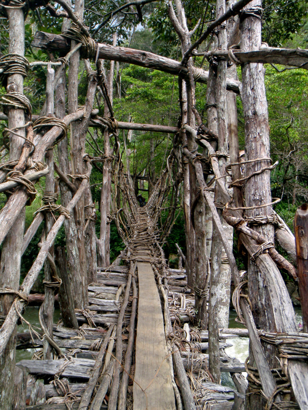Eine Hängebrücke aus Naturfasern