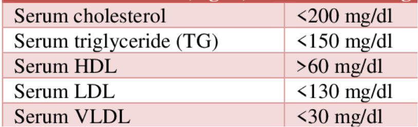 Lipid Profile - Lip Service