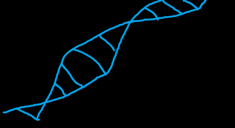 Genetics and Heart Disease