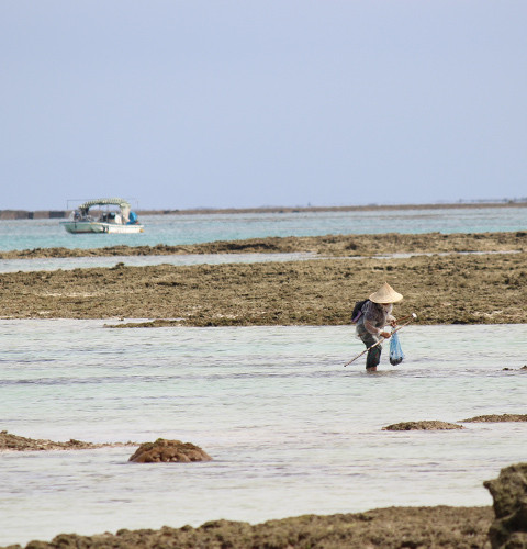 旧暦の3月3日には「浜下り」が行われる。女性の健康を願う伝統行事であり、海水に手足をつけることで身が清められるとされる。この日は大潮のため魚や貝をとり、ご馳走を食べる。