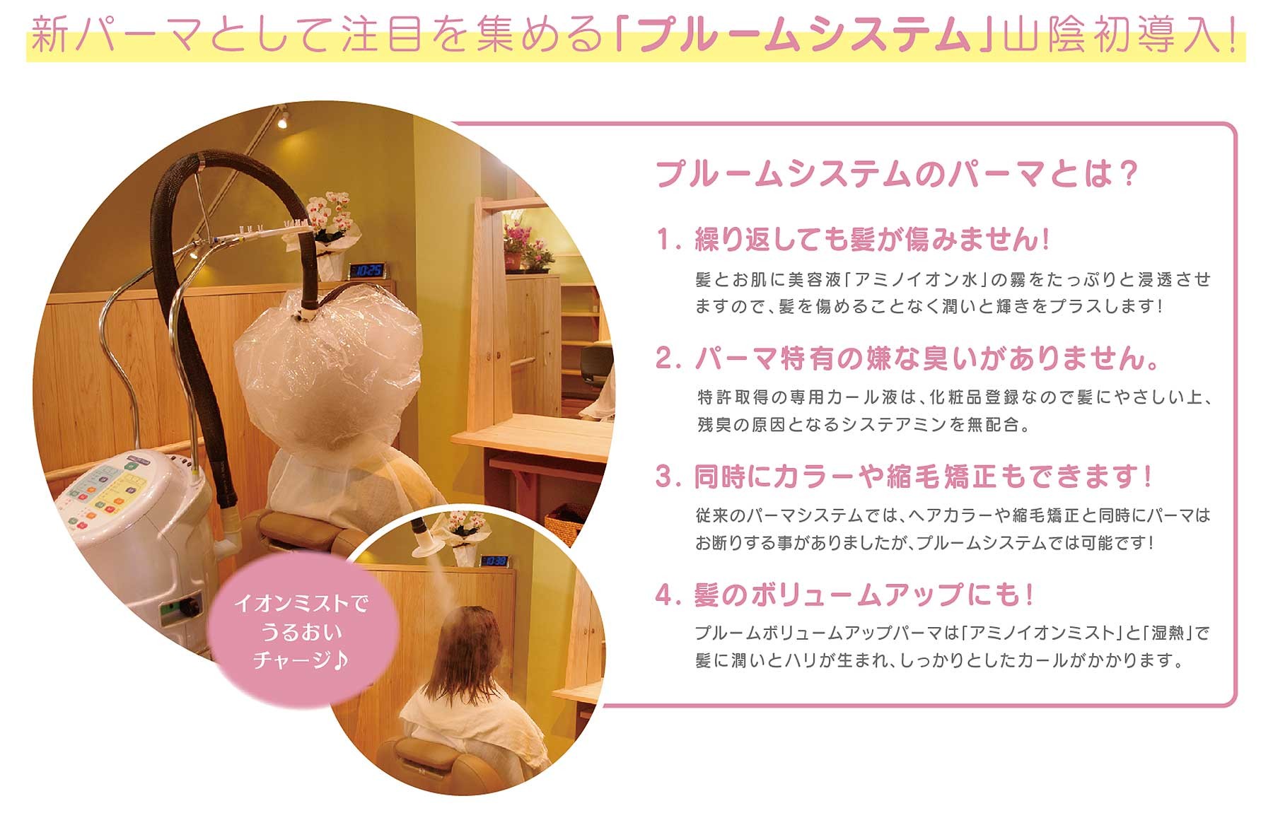 プルームメニュー La Bona Hair