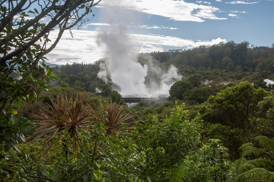Rotorua ist weltweit berüchtigt für seine geothermische Energie, die auch hier und da ganze Häuser verschluckt haben soll. Selbst Schuld, wenn man da auch baut, find ich. Jedenfalls sah man es von Weitem schon dampfen.