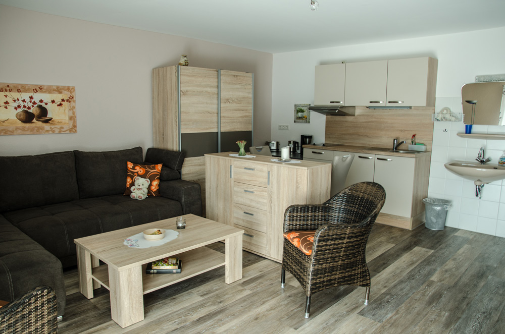Gästezimmer, Wohnbereich mit Single-Küche und Schlaf-Couch, Bild 1