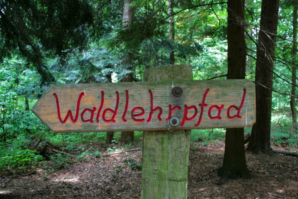 Wildpark Wiehl (Waldlehrpfad)