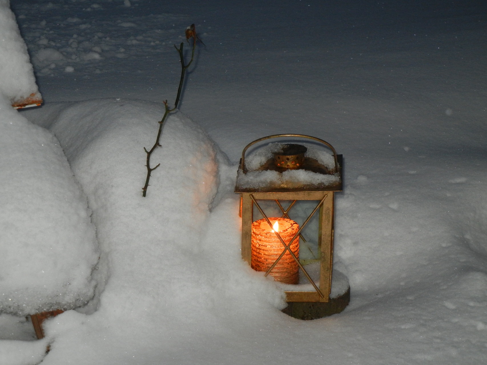 Winterimpression Garten