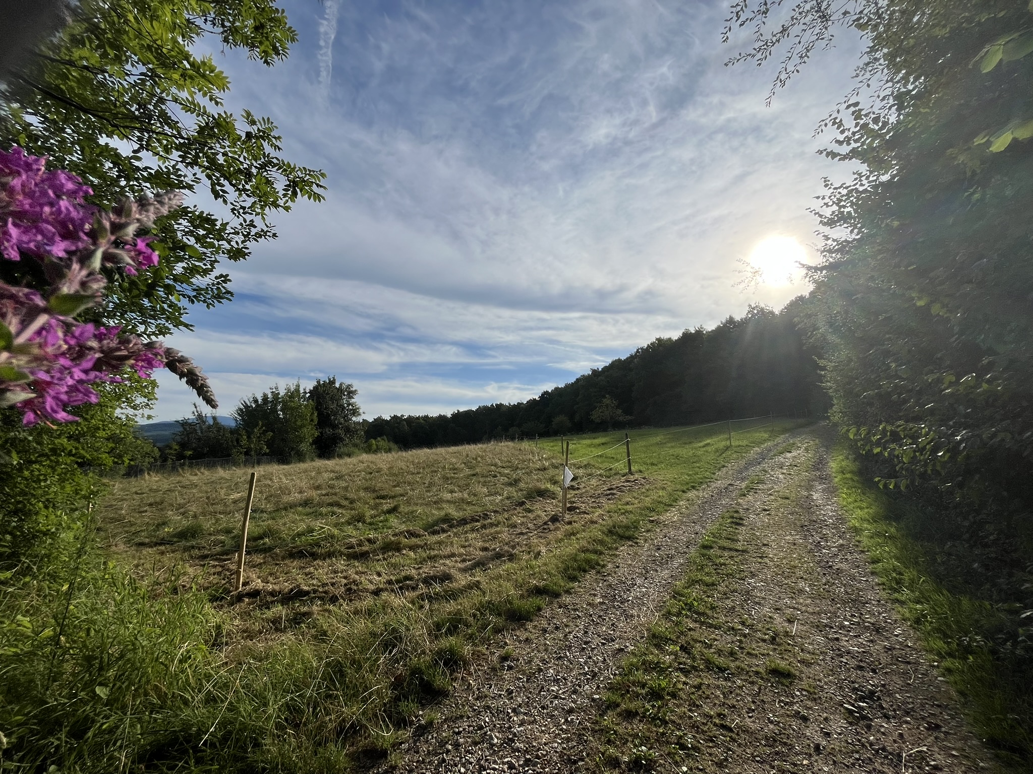 Morgensonne ...