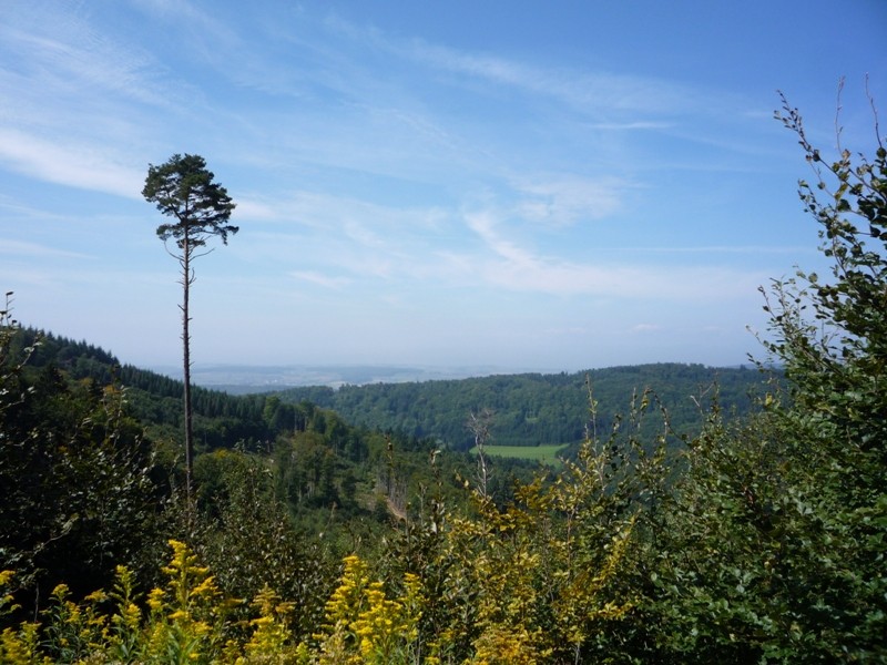 Toller Ausblick von Gipfel