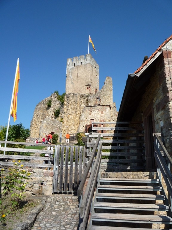 Die Burgruine ist das ganze Jahr über geöffnet, Führungen sind nach vorheriger Absprache möglich.