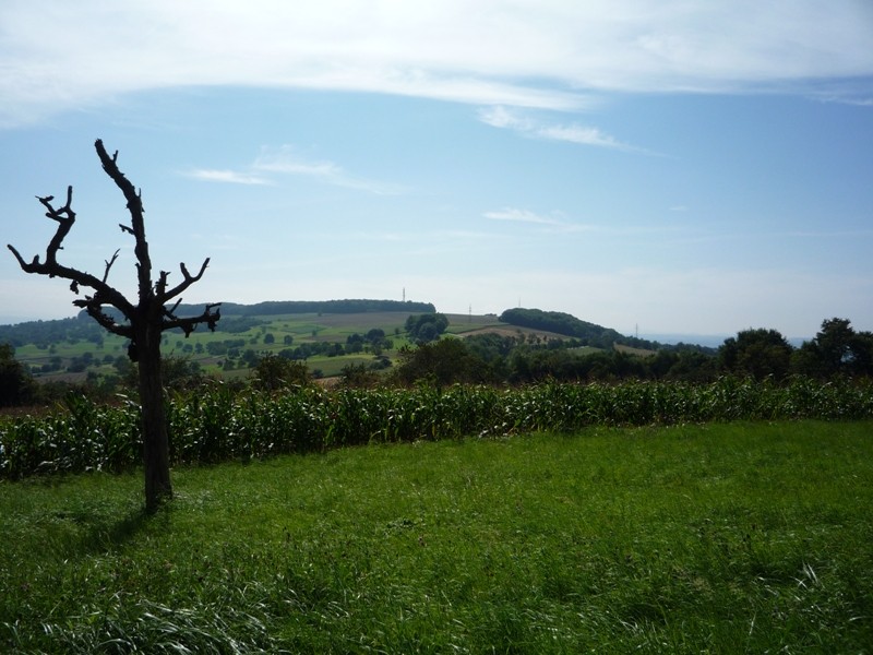 Blick in Richtung Ötlingen