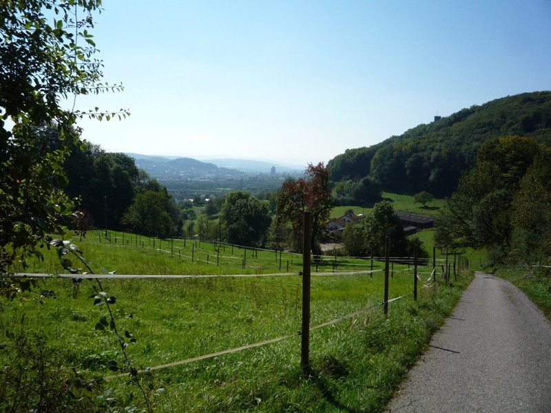 Aufstieg zur Burg von Lörrach Haagen aus