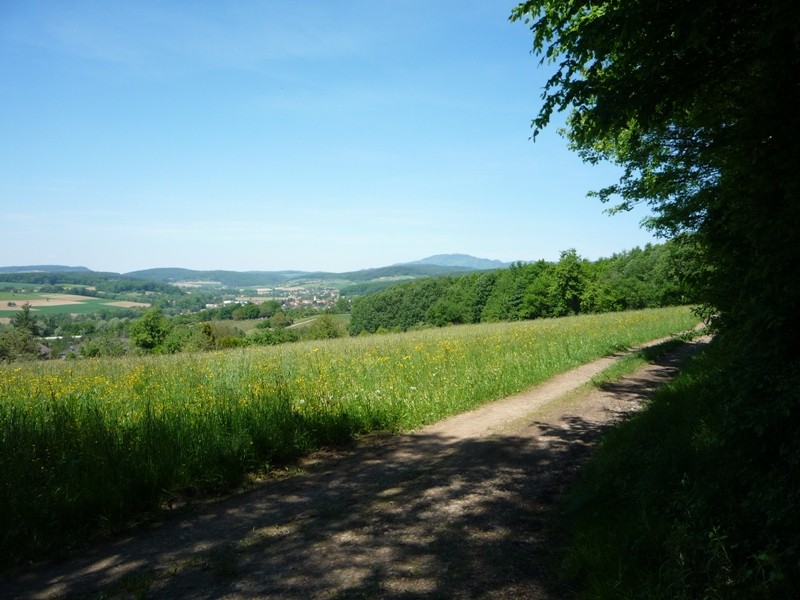 führt in den schattigen Wald oder am Feld vorbei