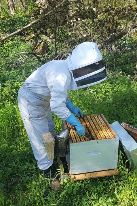 Visite de printemps