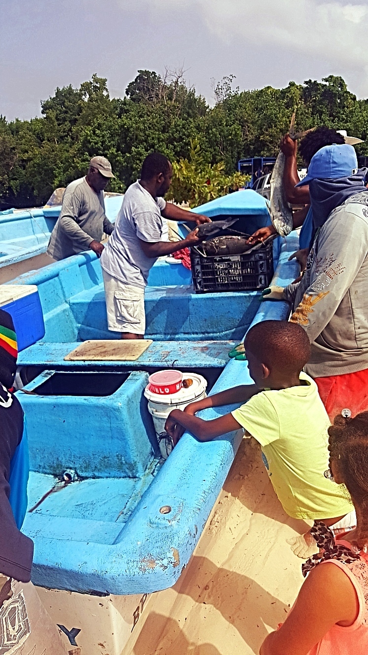 Dominikanische Republik- Fischfang