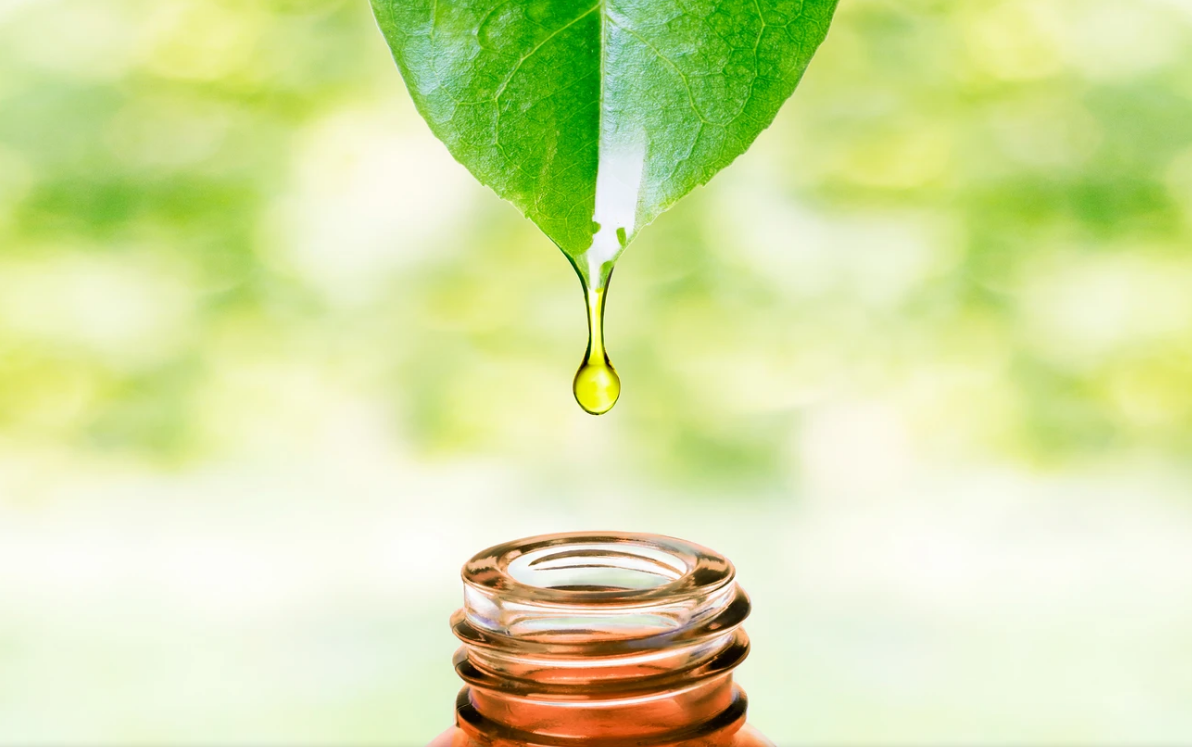 Ätherische Öle in der Aromapflege – Tradition, Duft und bewusste Rituale