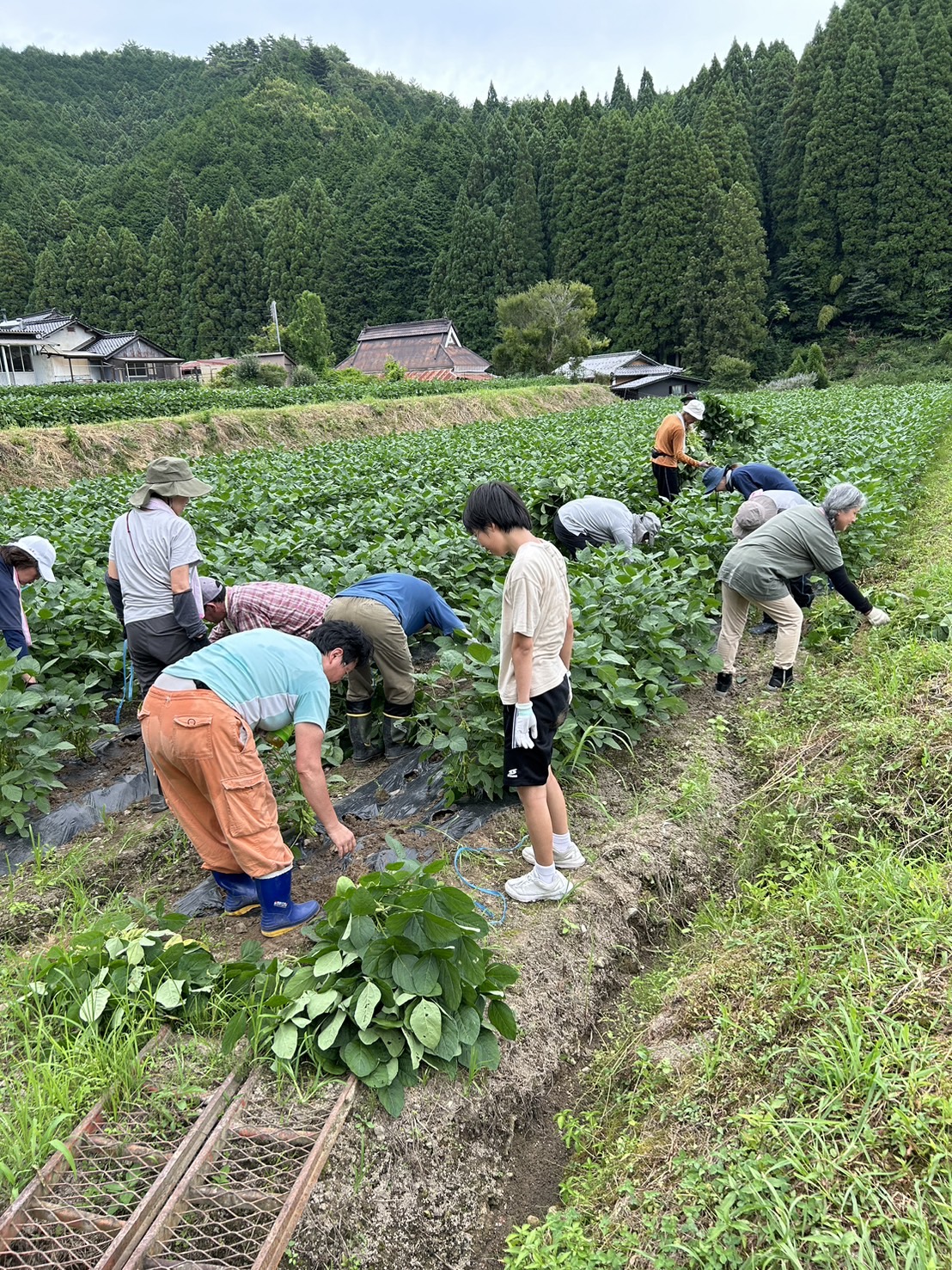 【朝来市上八代集落】現地活動支援１
