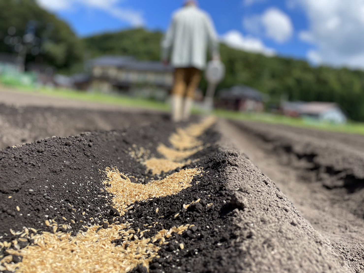 【豊岡市西気】現地活動支援１