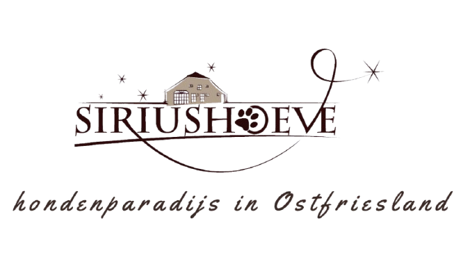 Accommodatie voor een vakantie met honden. Vakantiewoningen met omheide tuin en ruime camperplaatsen