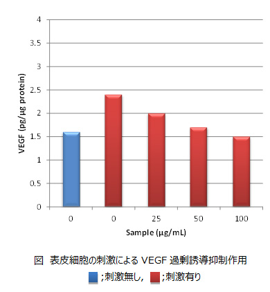 表皮細胞の刺激によるVEGF過剰誘導抑制作用