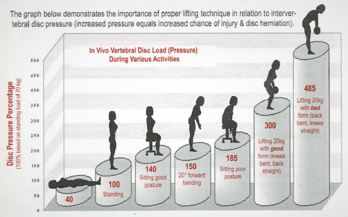 姿勢による椎間板への圧はどれくらい？
