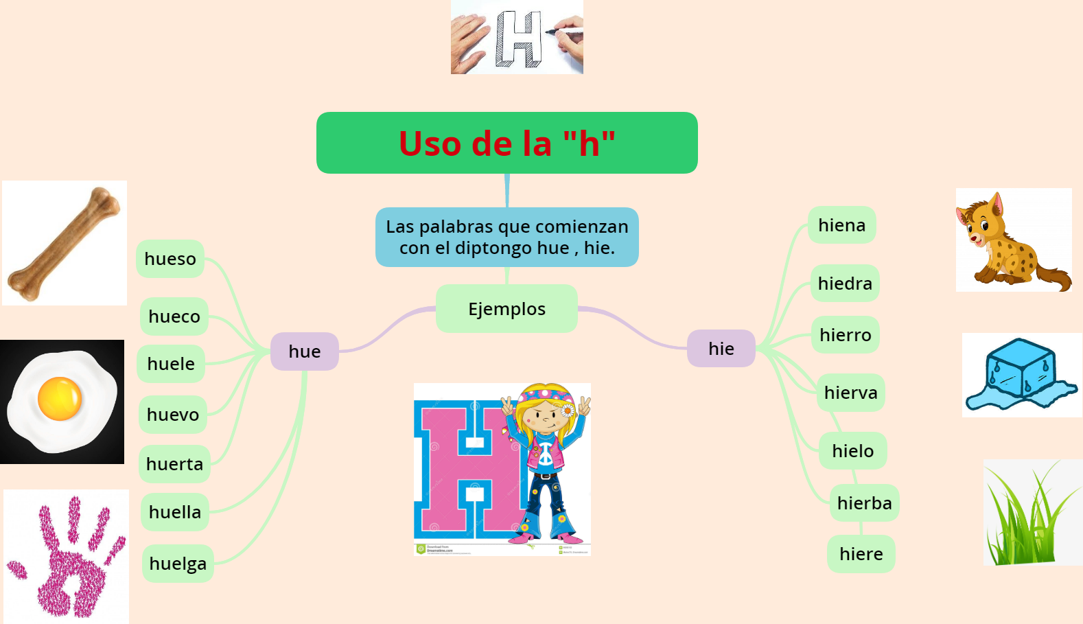 Uso de la "h" en los diptongos iniciales hue- hie. - Página web de  monypatisalcedoq
