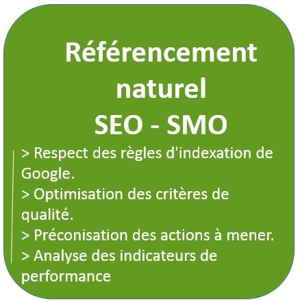 Audit et conseil en référencement naturel- SEO - SMO, optimisation des critéres de qualité, préconisations des actions à mener et indicateurs de performance