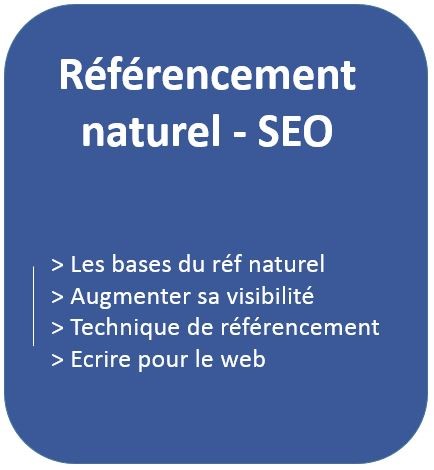 formation sur le référencement naturel, SEO avec les bases du référencement naturel & formation sur comment augmenter votre visibilité et les techniques d'écrire sur le web 