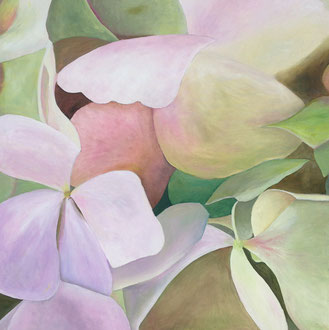 *Pink Hortensien ll - 100x100 (3 Farben)