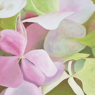 * Pink Hortensien l - 100x100 (3 Farben)