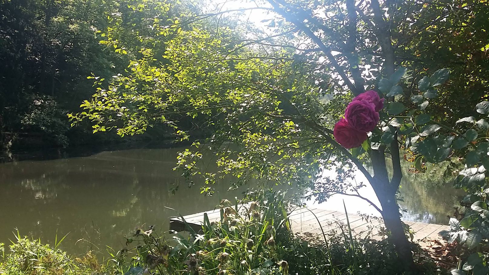 Negative Umwandlung unseres Schlafplatzes bei einer Wasserader