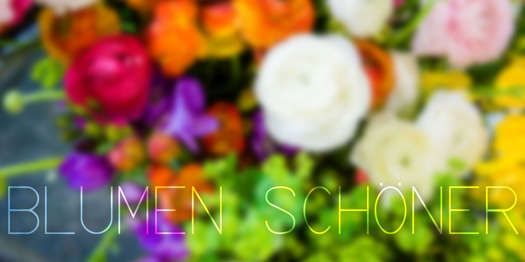 Home Blumen Schoner Blumen Naturlich Und Schon