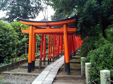 根津神社 乙女稲荷神社 鳥居