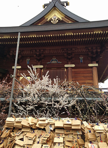 湯島天神（湯島天満宮） 本殿