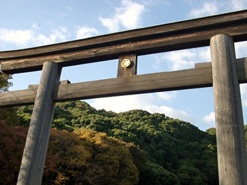 静岡縣護國神社 鳥居