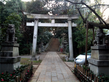 赤坂氷川神社 一の鳥居 狛犬