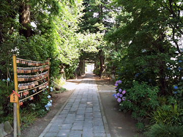 大沢香取神社 参道