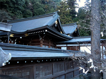 高麗神社 本殿