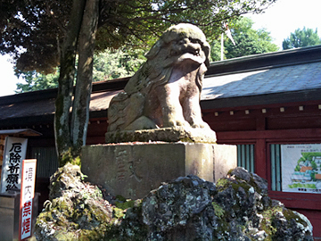 大國魂神社 狛犬