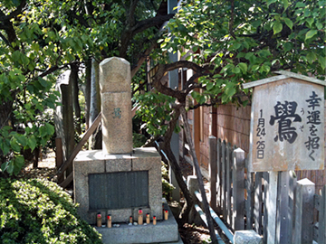 亀戸天神社 鷽